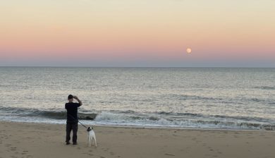a man with a black and white dog overlooking the beaver moon moonrise along a beach is a pastel dusk sky