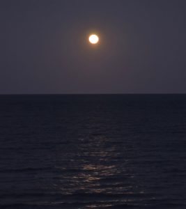 Beaver Moon Moonrise above the ocean at Virginia Beach on November 19 2021