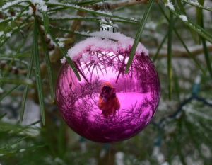 hot pink Christmas bulb with a reflection of a woman in a yellow jacket