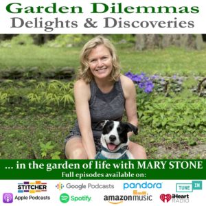 The Garden Dilemmas Delights and Discoveries Podcast Logo with Mary Stone and a black and white dog named Jolee.