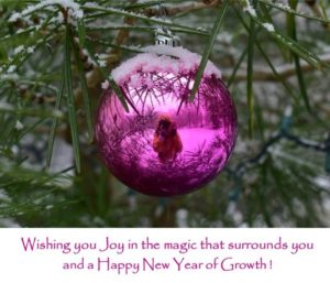 hot pink Christmas bulb with a reflection of a woman in a yellow jacket wishing a happy new year of growth
