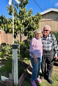 an older woman and man in front of a twenty feet tall avocado tree
