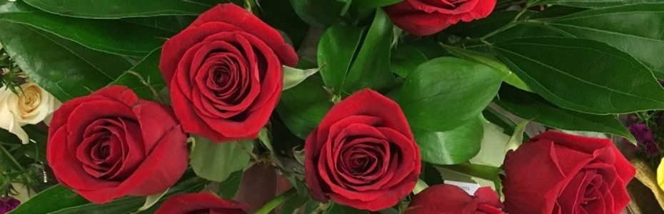 a top view of a bucket of red roses