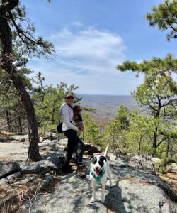 Mary Stone on the outcropping at Blue Mountain Lake carrying Callie, a small brown dog, with Jolee, a large white and back dog at her feet.