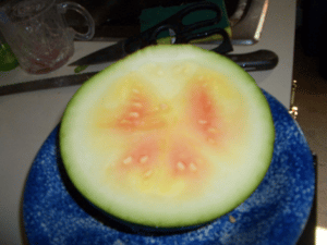 a watermelon cut in half revealing a yellow center with an orange angel shape