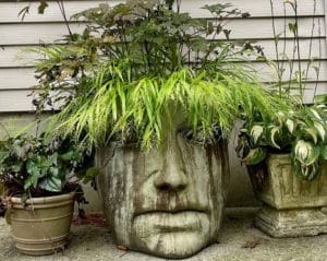 a Mother Earth Face Pot with bangs of Japanese Forest Grass