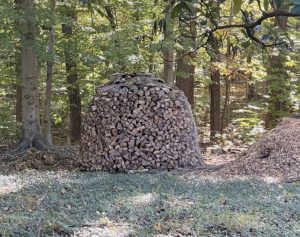 a neatly stacked mound of firewood, twelve feet wide and five feet high with a bark roof.