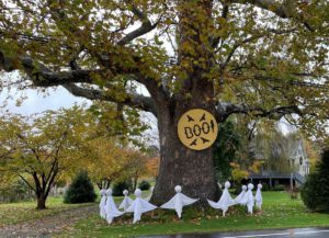 a five-foot wide sycamore trunk decorated with a ring of ghosts and a sign that reads Boo