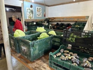 an inside farm stand of produce in green crates at Genesis FArm