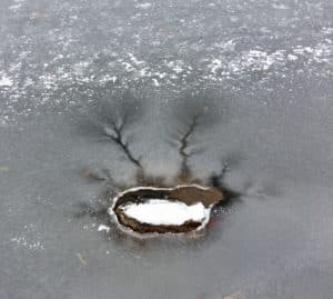 an ice formation on a pond that looks like a tree growing out of an island.
