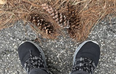 white pine pine cones on the side of the road next to feet in black sneakers with pine needles