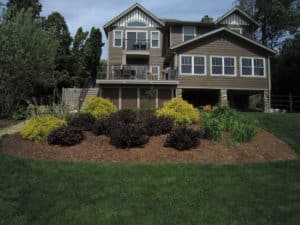 Before the garden renovation of color - the back of a brown house with white trim and a dull garden of maroon and yellow shrubs