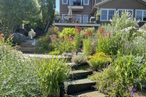 Garden Steps decorated with a colorful perennial garden with a golden retriever looking down from above.