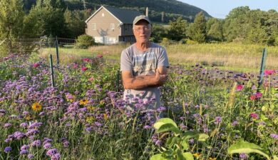 Dennis Briede in a ball cap standing in his meadow of colorful plants with a mountain ridge behind him.