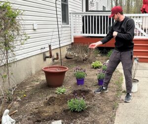 a young man in a red ball cap rolling up his sleeves to plant lavender.