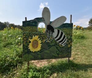 a mural of a bee with a cutout to take photographs next to a sunflower field