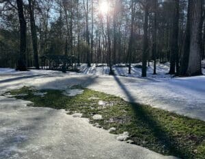 the sun gleaming through woods onto a river of green lawn with snow on each side.
