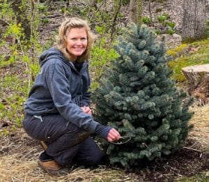 Mary Stone kneeling next to a blue spruce transplant wearing a grey sweatshirt and muddy pants.