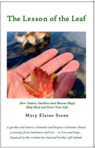 a mock up cover of The Lesson of the Leaf by Mary Elaine Stone with a photo of a oranfe leaf in a hand and a golden retriever blurred in the background