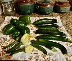 a collection of a late season harvest of ten, six-inch zucchinis and six green peppers on a countertop.