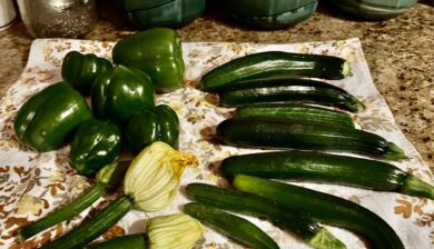 a collection of a late season harvest of ten, six-inch zucchinis and six green peppers on a countertop.