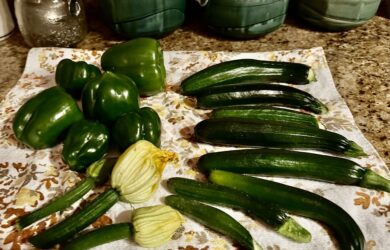 a collection of a late season harvest of ten, six-inch zucchinis and six green peppers on a countertop.