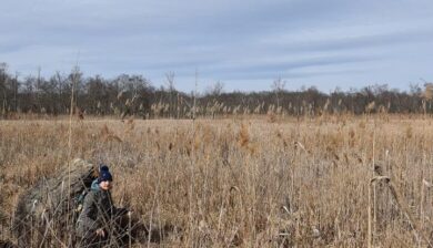 a woman next to a huge boulder in a reed filled marsh at Hyper-Humus area of he Paulinskill Watershed