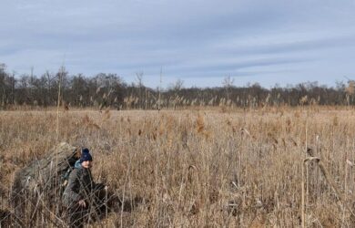 a woman next to a huge boulder in a reed filled marsh at Hyper-Humus area of he Paulinskill Watershed