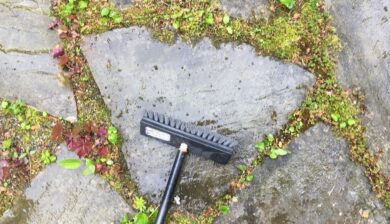 a deck brush cleaning a natural stone patio wiht moss and plants in the joints.