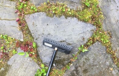 a deck brush cleaning a natural stone patio wiht moss and plants in the joints.