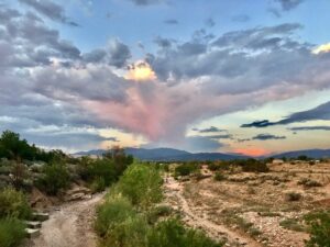 a gorgeous blue sky with pink and lavender clouds at Frenchy's Field along the Santa Fe River.