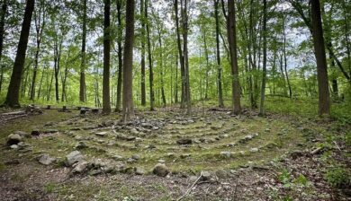 a stone edge maze amongst a forest with an upright wooden cross in next to a tree in the center.