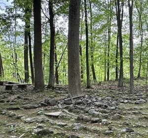 a stone edge maze amongst a forest with a fallen wooden cross in next to a tree in the center.