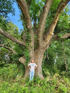 a huge white ash tree with a young man standing in front of the trunk.