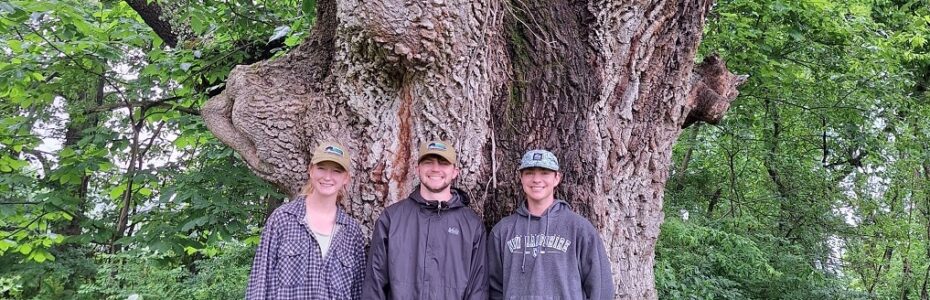 a huge white ash tree with three young adults standing in front of the trunk.