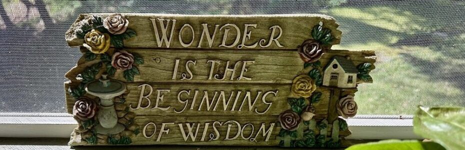 a brown plaque with flower that read Wonder is the Beginning of Wisdom