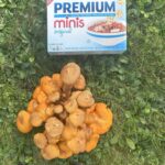 a cracker box in a lawn next to bright orange a jack-o'-lantern mushroom