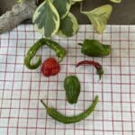 peppers arranged on a kitchen towel in the shape of a smiley face.