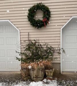 Winter container decorated with deer-pruned holly branches in a Mother Earth face pot, symbolizing garden resilience and healing.