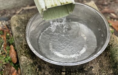 a silver dog bowl below a rain gutter filling with snowmelt