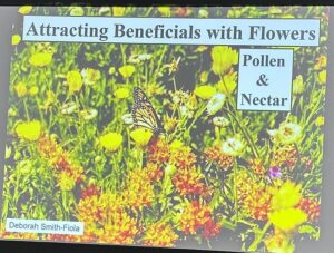 Slide titled “Attracting Beneficials with Flowers – Pollen & Nectar” showing a monarch butterfly feeding among yellow and orange wildflowers.