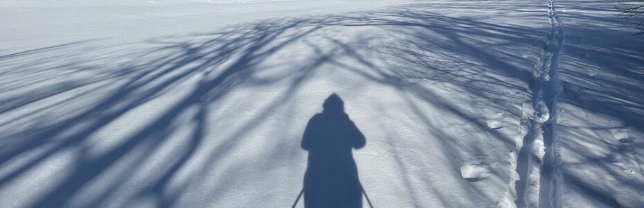 Mary Stone's shadow on cross country skis along with tree shadows.