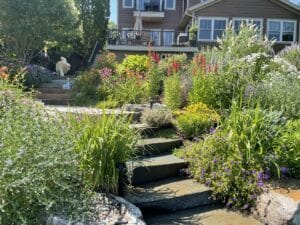 Layered perennial garden with stone steps and colorful flowering plants surrounding a backyard landscape.