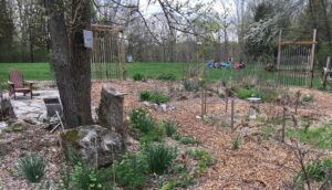leaf mold vs mulch in garden beds with wood chip paths in early spring landscape
