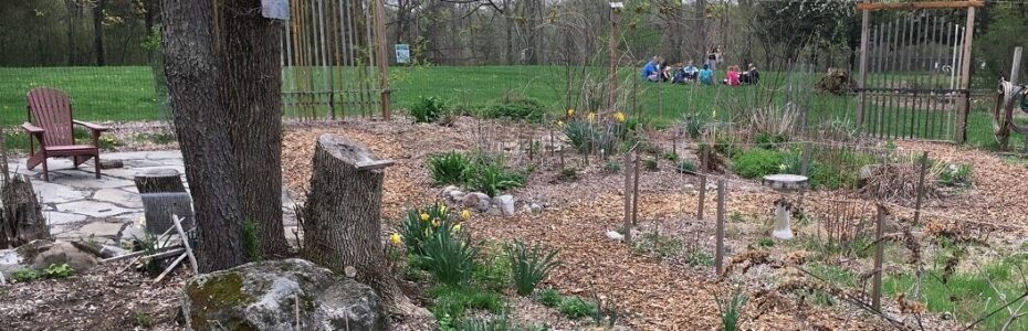 leaf mold vs mulch in garden beds with wood chip paths in early spring landscape