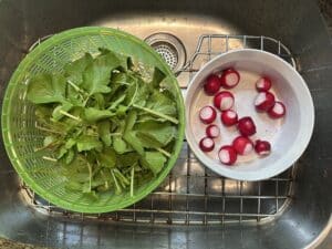 Fresh radishes and cleaned radish greens ready for cooking in a kitchen sink.