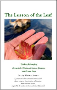 Book cover mockup for The Lesson of the Leaf by Mary Elaine Stone, featuring a red maple leaf resting in an open hand beside water, with the subtitle Finding Belonging through the Wisdom of Nature, Gardens, and Rescue Dogs.