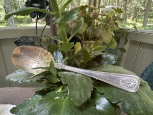 Antique silver spoon engraved with the name Mary resting on a houseplant.