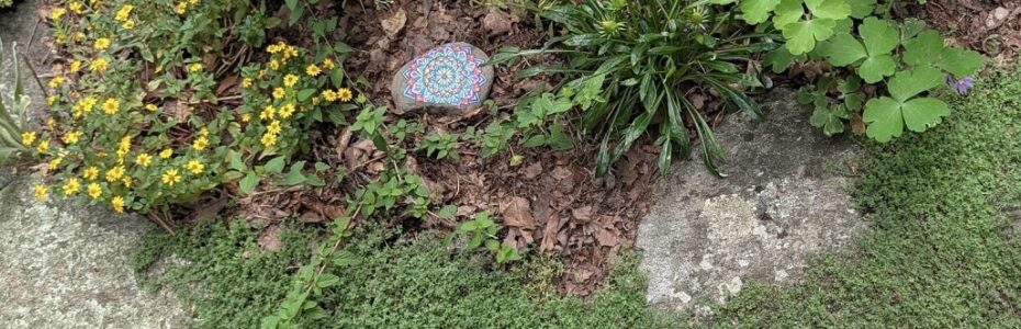 Creeping thyme spilling over natural stone beside colorful perennial flowers and a painted garden rock.