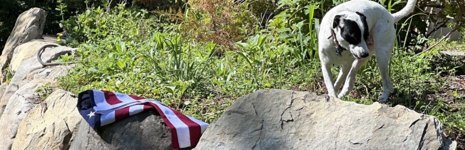 Jolee standing beside a folded American flag in a garden bordered by large stone boulders